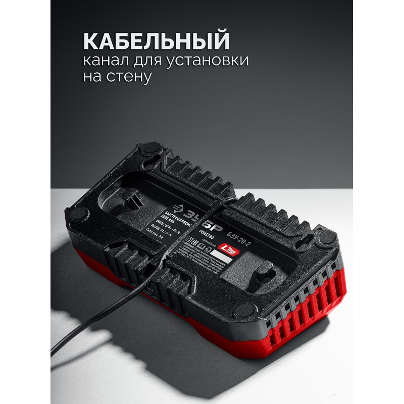 Зарядное устройство для LMS АКБ 20 В, 2 порта Зубр БЗУ-20-2