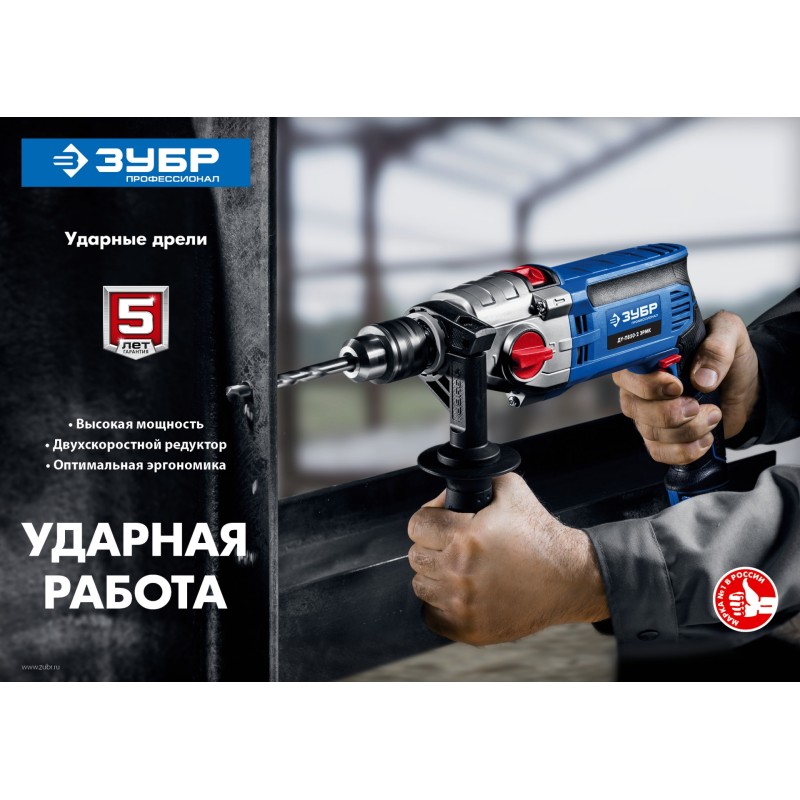 Дрель ударная двухскоростная + кейс ЗУБР ДУ-П850-2 ЭРМК